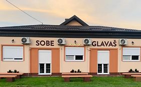 Sobe Glavas